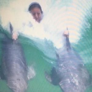 Meet your Posher, Robin